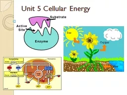 Unit 5 Cellular Energy I.   Enzymes