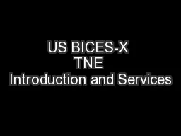 US BICES-X TNE Introduction and Services