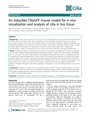 RESEARCH Open Access An inducible CiliaGFP mouse model