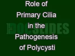 Role of Primary Cilia in the Pathogenesis of Polycysti