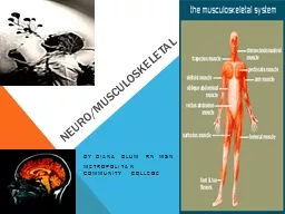 Neuro /musculoskeletal  By Diana Blum RN