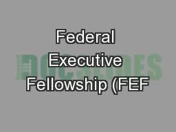Federal Executive Fellowship (FEF