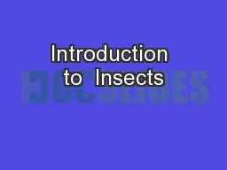Introduction to  Insects