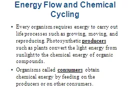 Energy Flow and Chemical Cycling