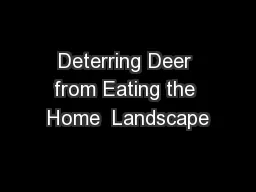 Deterring Deer from Eating the Home  Landscape