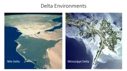 Delta Environments Nile Delta