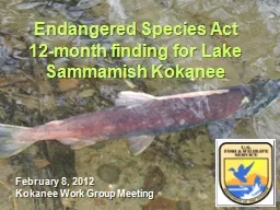 Endangered Species Act  12-month finding for Lake Sammamish Kokanee