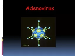 Adenovirus Familia  Adenoviridae