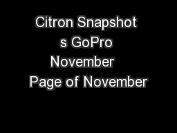 Citron Snapshot s GoPro November   Page of November