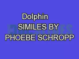 Dolphin    SIMILES BY PHOEBE SCHROPP