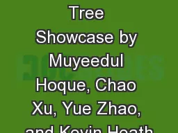 CS548 Fall 2016 Decision Tree Showcase by Muyeedul Hoque, Chao Xu, Yue Zhao, and Kevin