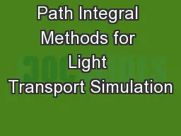Path Integral Methods for Light Transport Simulation