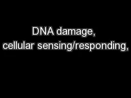 DNA damage, cellular sensing/responding,