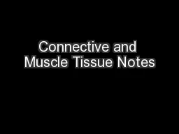 Connective and Muscle Tissue Notes