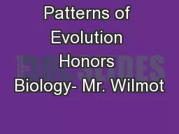 Patterns of Evolution Honors Biology- Mr. Wilmot