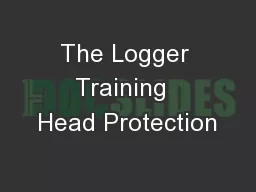 The Logger Training  Head Protection