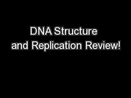 DNA Structure and Replication Review!