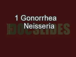 1 Gonorrhea   Neisseria