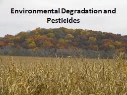 Environmental Degradation and Pesticides