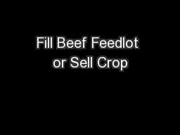 Fill Beef Feedlot or Sell Crop