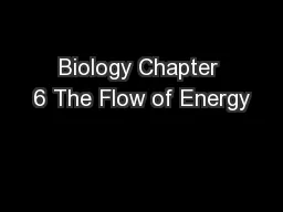 Biology Chapter 6 The Flow of Energy