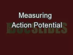 Measuring Action Potential