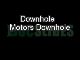 Downhole  Motors Downhole