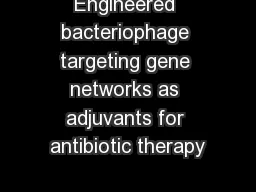 Engineered bacteriophage targeting gene networks as adjuvants for antibiotic therapy