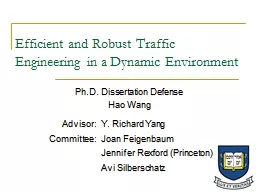 Efficient and Robust Traffic Engineering in a Dynamic Environment
