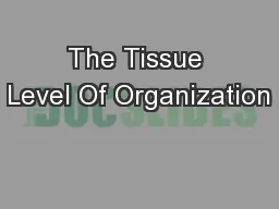 The Tissue Level Of Organization