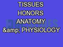 TISSUES HONORS ANATOMY & PHYSIOLOGY
