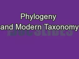 Phylogeny and Modern Taxonomy