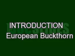 INTRODUCTION   European Buckthorn