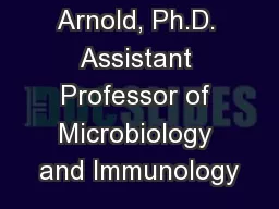 Michelle  Arnold, Ph.D. Assistant Professor of Microbiology and Immunology