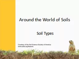 Around the World of Soils