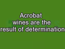 Acrobat  wines are the result of determination