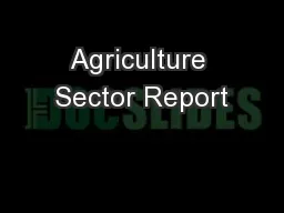 Agriculture Sector Report