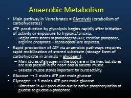 Anaerobic Metabolism Main pathway in Vertebrates =