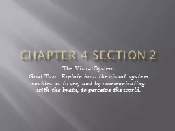 Chapter 4  Section 2 The Visual System