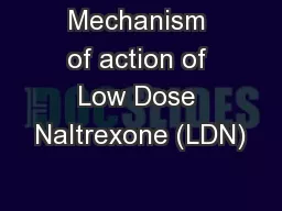 Mechanism of action of Low Dose Naltrexone (LDN)