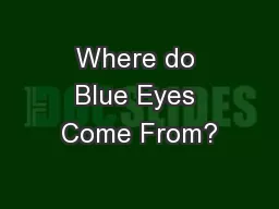 Where do Blue Eyes Come From?