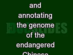 Sequencing,  de novo  assembling, and annotating the genome of the endangered Chinese