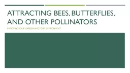 Attracting Bees, Butterflies, and Other Pollinators
