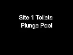 Site 1 Toilets Plunge Pool