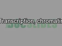 Transcription, chromatin