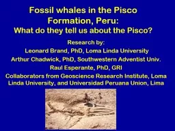 Fossil whales in the Pisco Formation, Peru: