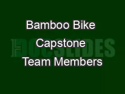 Bamboo Bike Capstone Team Members