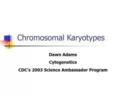 Chromosomal Karyotypes Dawn Adams