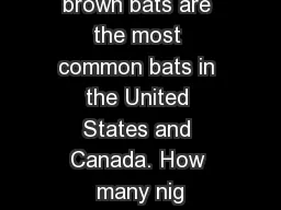 Bat Trivia Little brown bats are the most common bats in the United States and Canada. How many nig