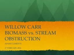 WILLOW CARR BIOMASS vs. STREAM OBSTRUCTION